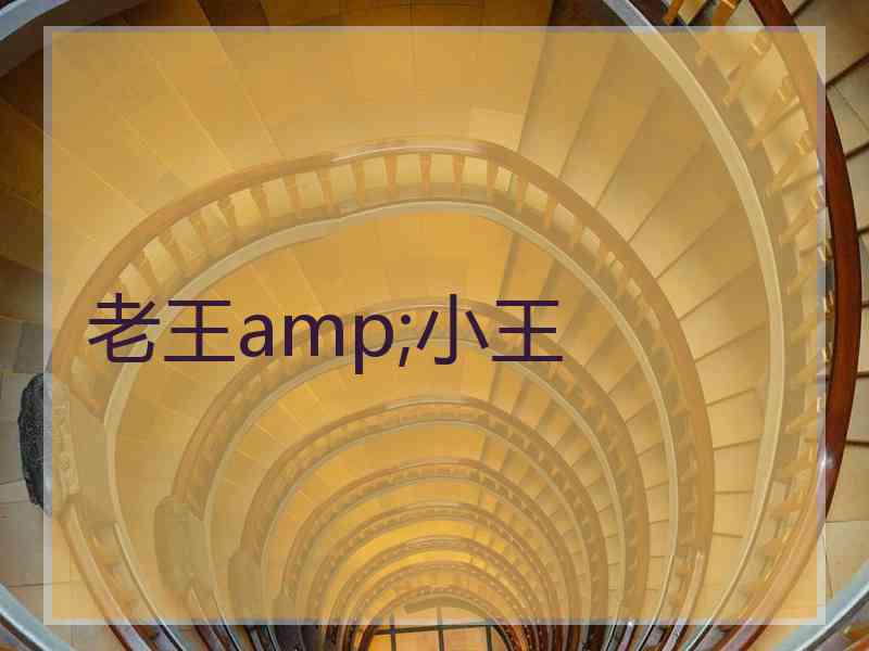 老王amp;小王