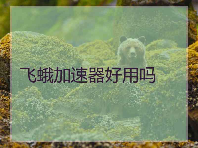 飞蛾加速器好用吗 飞蛾加速器好用吗