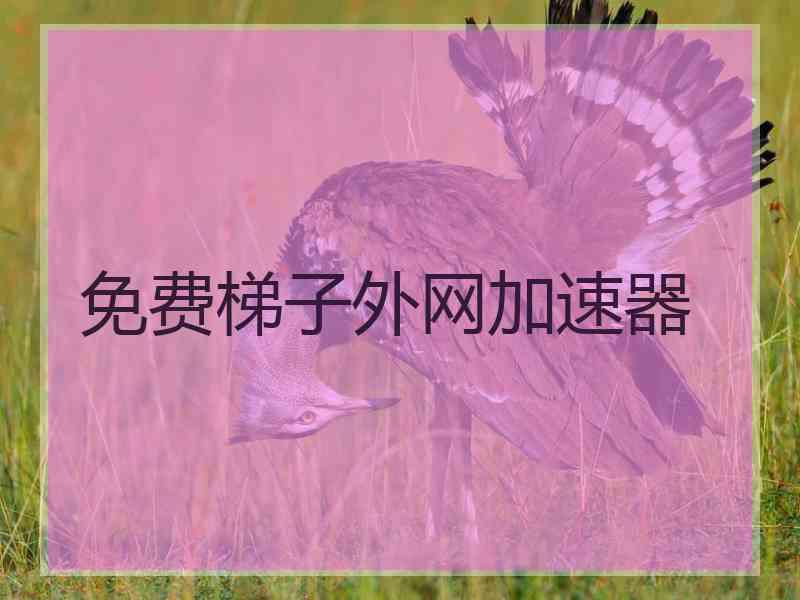 免费梯子外网加速器 免费梯子外网加速器