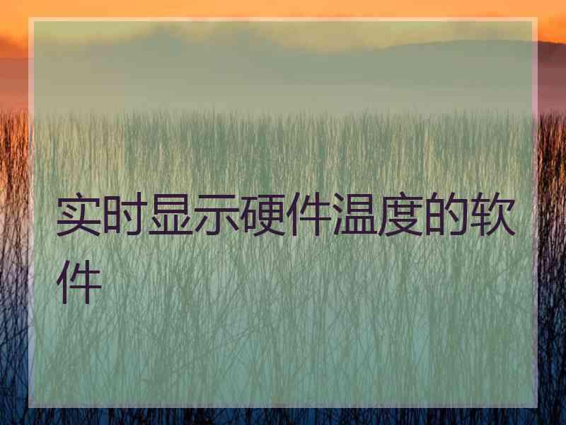 实时显示硬件温度的软件 实时显示硬件温度的软件