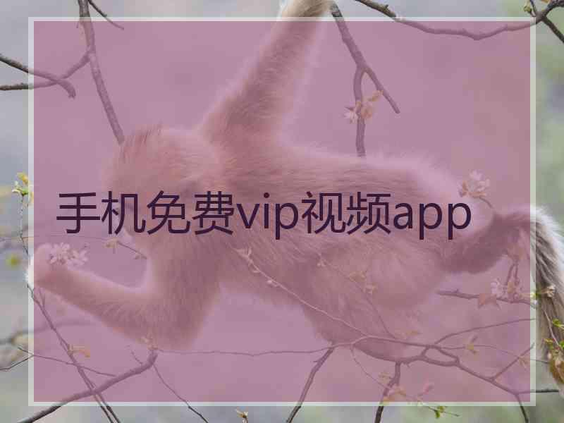 手机免费vip视频app