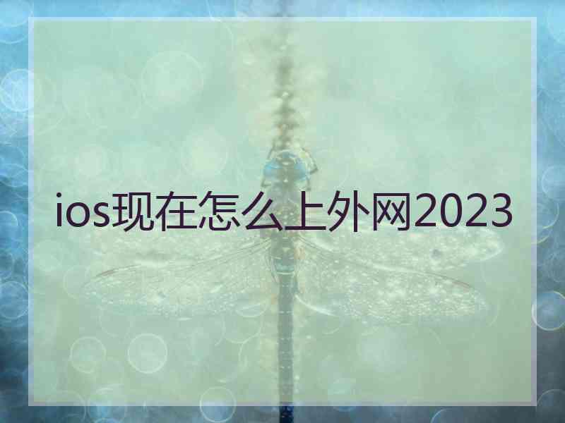 ios现在怎么上外网2023 ios现在怎么上外网2023