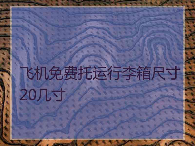 飞机免费托运行李箱尺寸20几寸 飞机免费托运行李箱尺寸20几寸