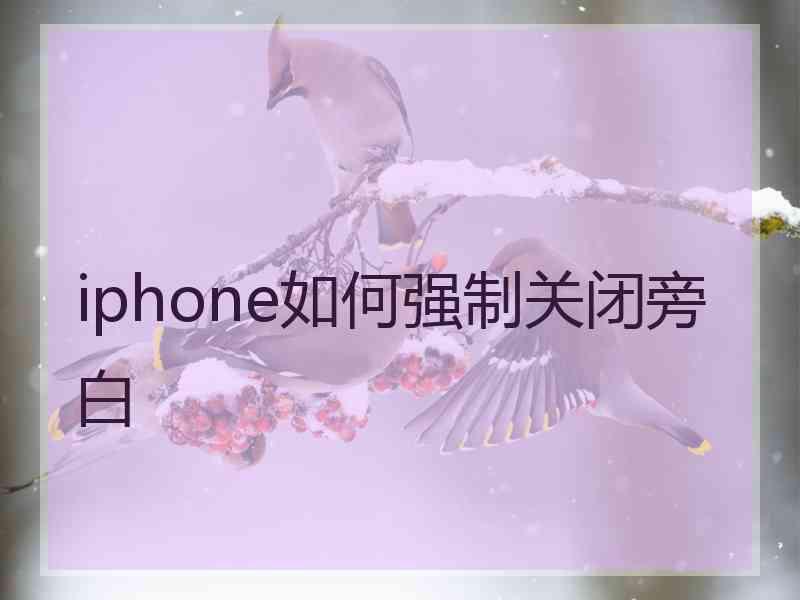 iphone如何强制关闭旁白 iphone如何强制关闭旁白