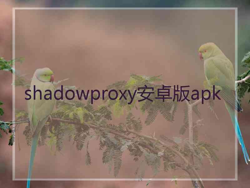 shadowproxy安卓版apk