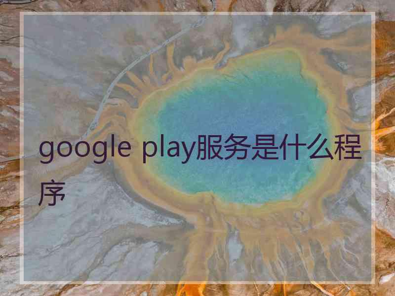 google play服务是什么程序