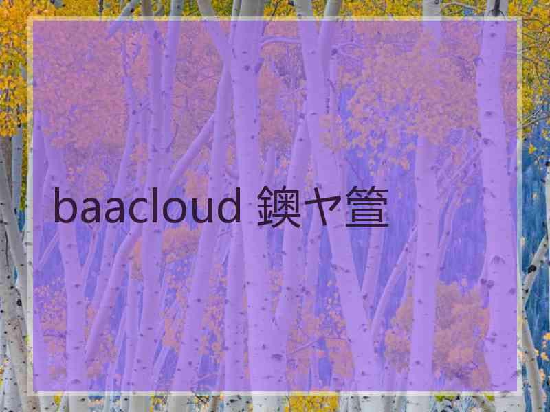 baacloud 鐭ヤ箮