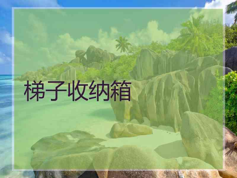 梯子收纳箱 梯子收纳箱