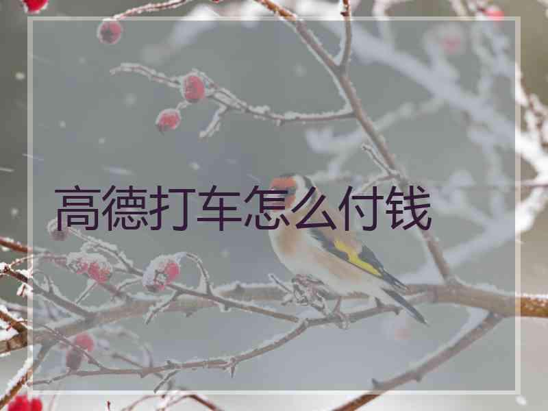 高德打车怎么付钱 高德打车怎么付钱