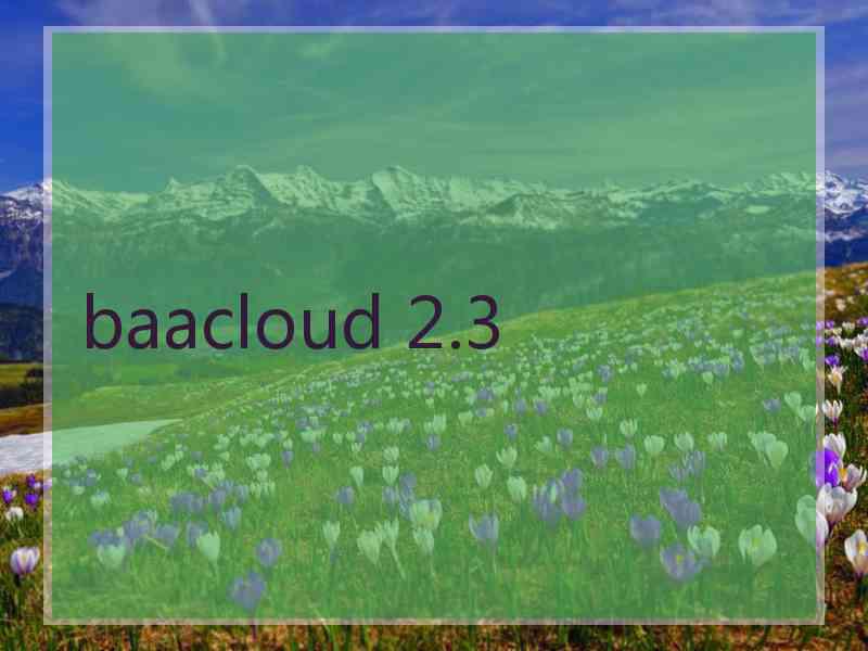 baacloud 2.3