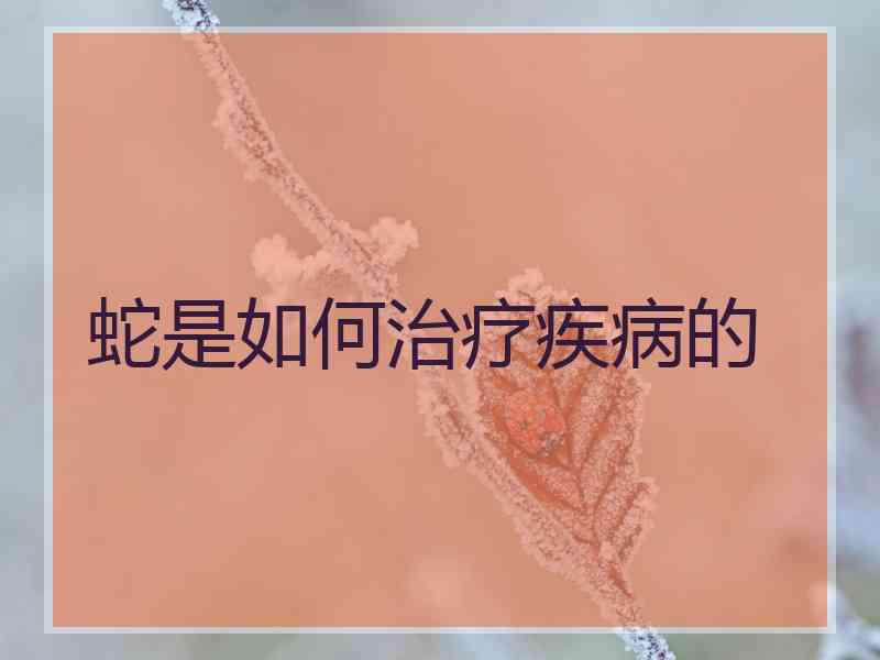 蛇是如何治疗疾病的 蛇是如何治疗疾病的