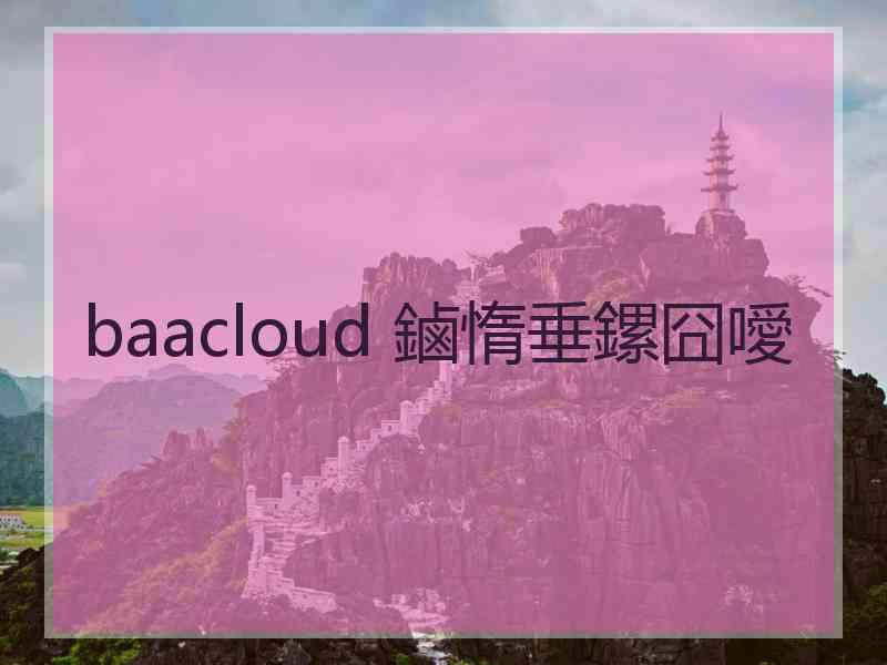 baacloud 鏀惰垂鏍囧噯