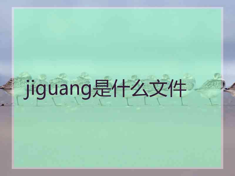 jiguang是什么文件