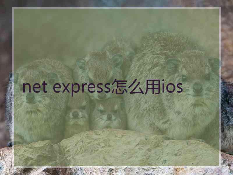 net express怎么用ios