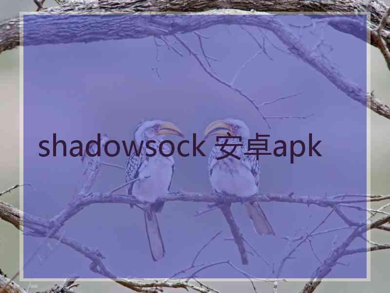 shadowsock 安卓apk
