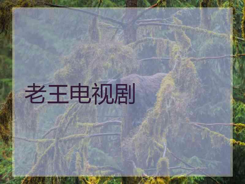 老王电视剧 老王电视剧