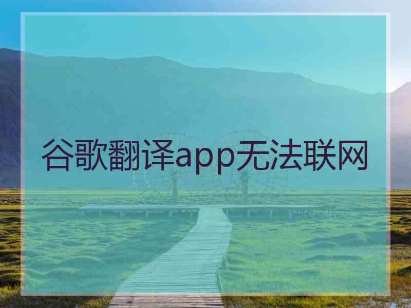 谷歌翻译app无法联网