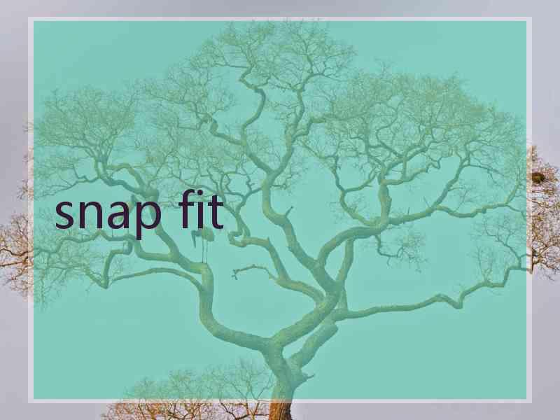 snap fit
