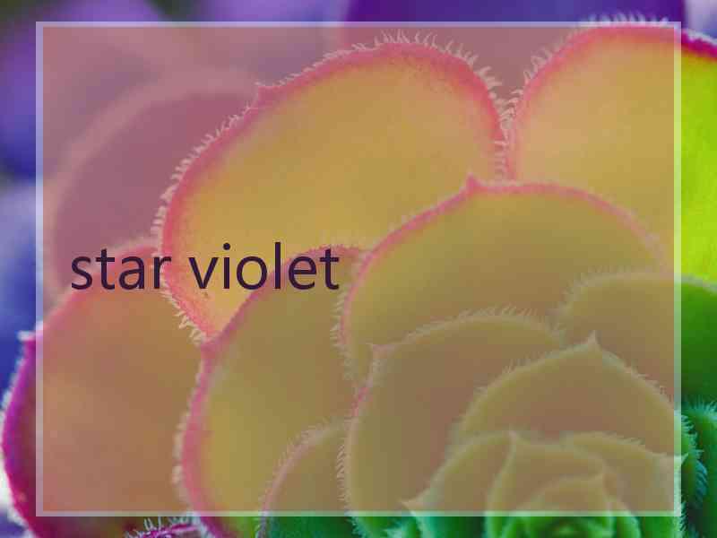 star violet star violet