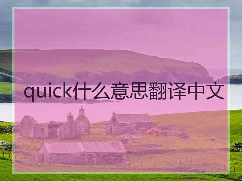 quick什么意思翻译中文