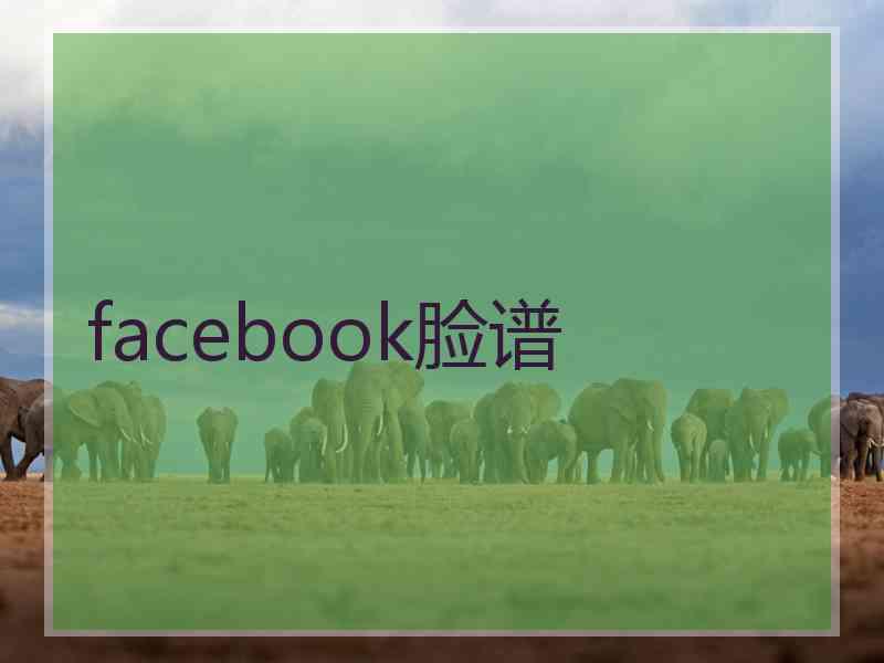 facebook脸谱