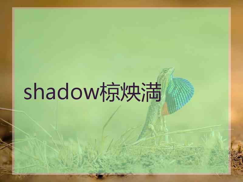 shadow椋炴満