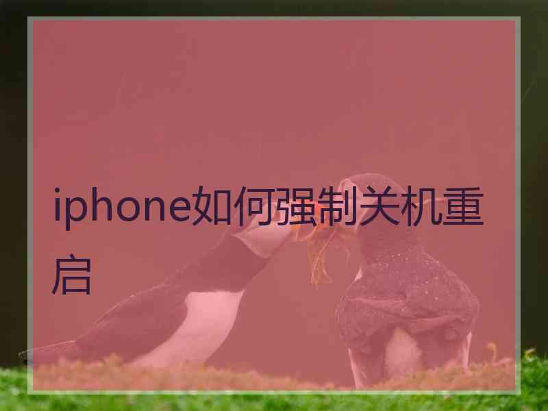 iphone如何强制关机重启 iphone如何强制关机重启