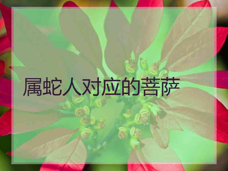 属蛇人对应的菩萨 属蛇人对应的菩萨