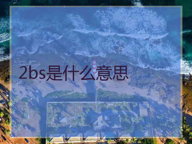 2bs是什么意思 2bs是什么意思