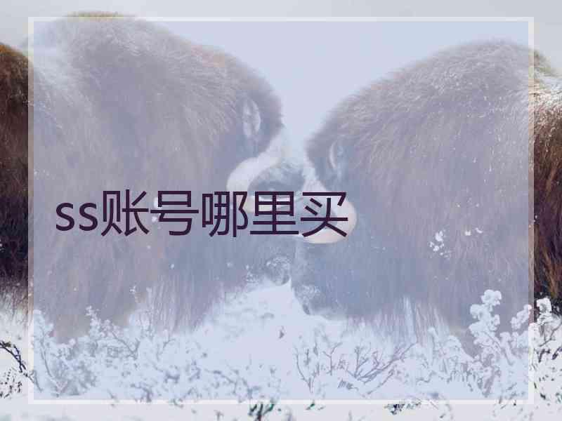 ss账号哪里买 ss账号哪里买