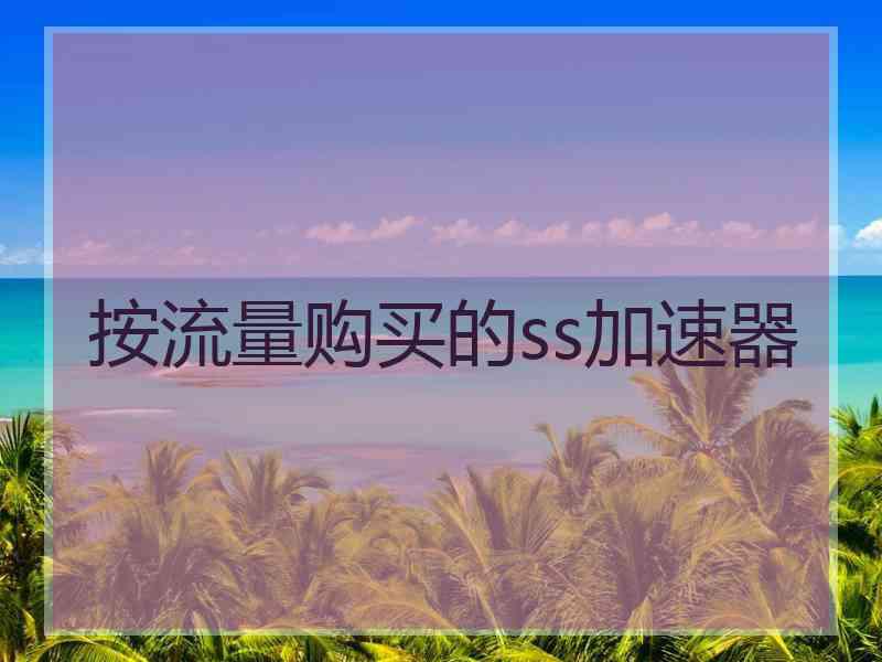 按流量购买的ss加速器 按流量购买的ss加速器