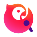 免费的节点
