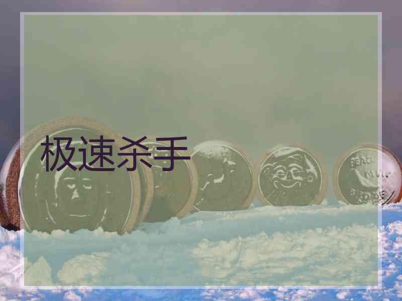 极速杀手