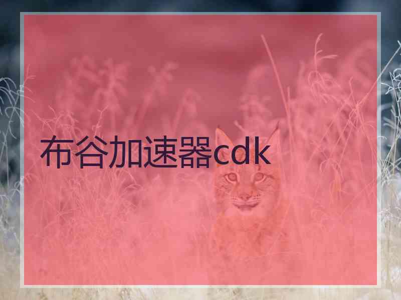 布谷加速器cdk