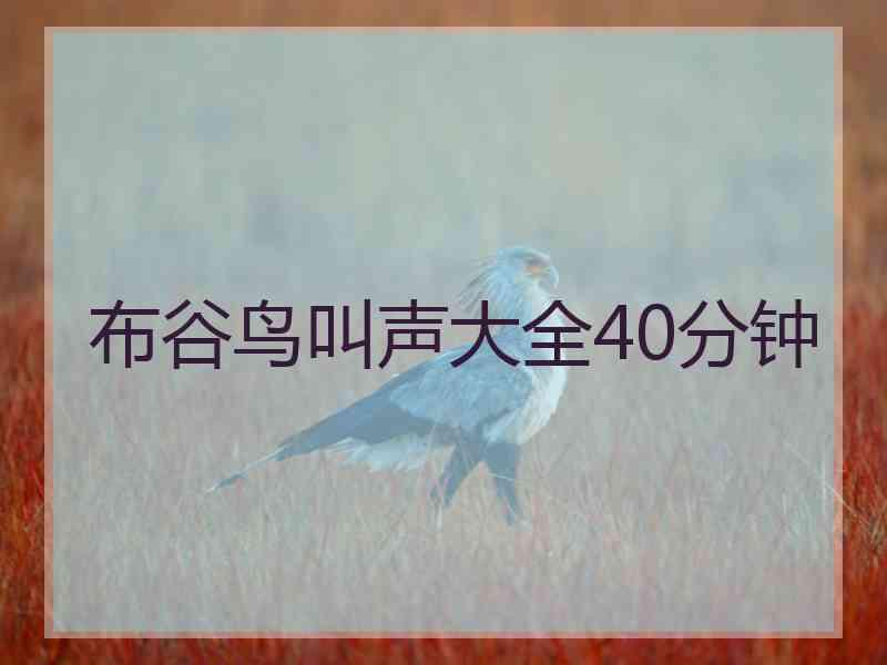 布谷鸟叫声大全40分钟