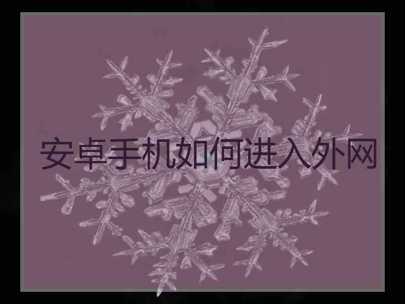 安卓手机如何进入外网
