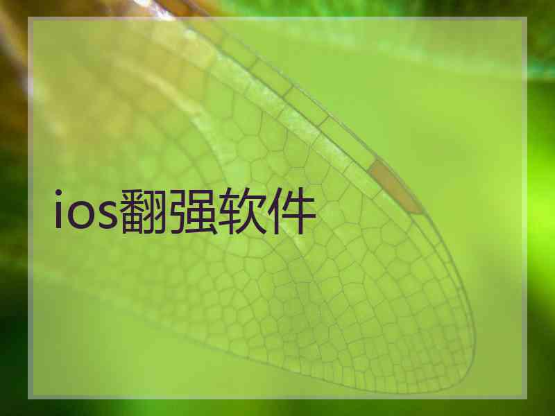 ios翻强软件