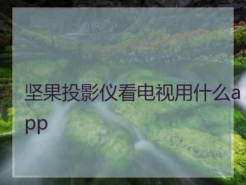 坚果投影仪看电视用什么app