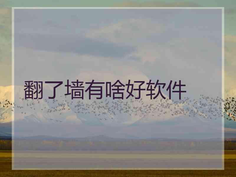 翻了墙有啥好软件