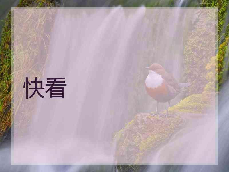 快看