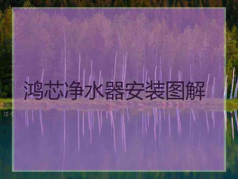 鸿芯净水器安装图解