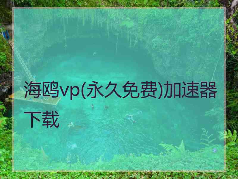 海鸥vp(永久免费)加速器下载