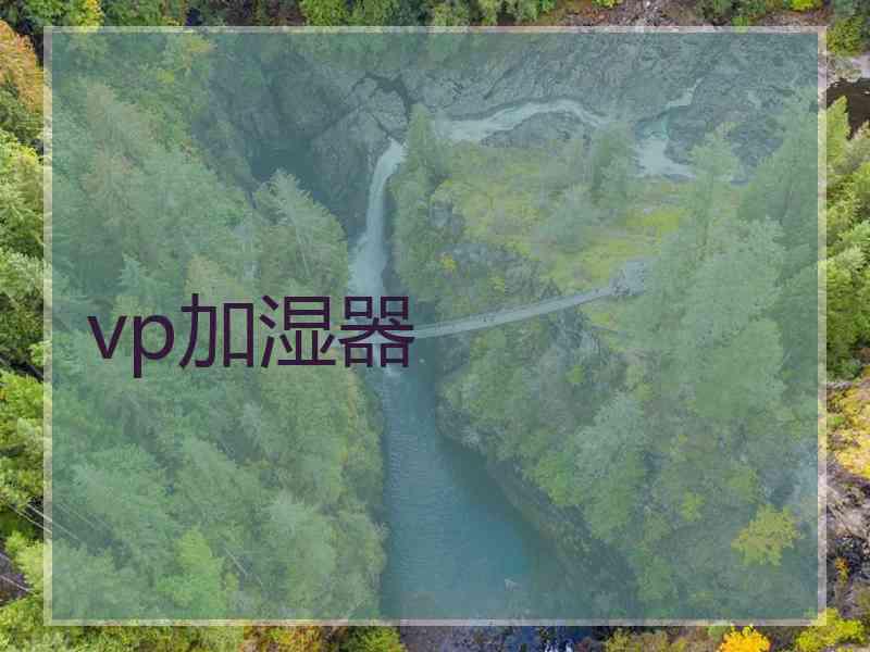 vp加湿器