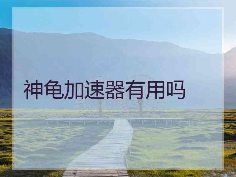 神龟加速器有用吗