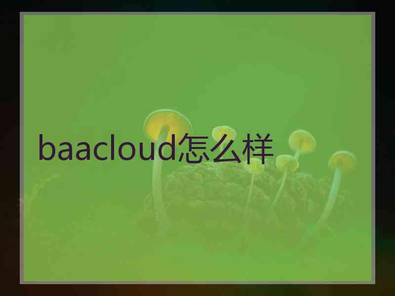baacloud怎么样