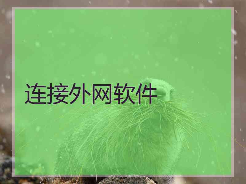 连接外网软件
