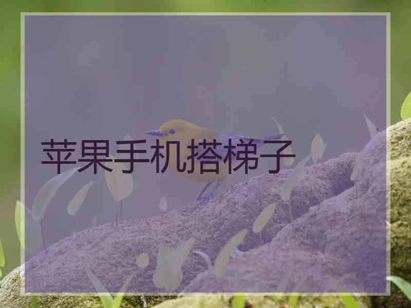 苹果手机搭梯子