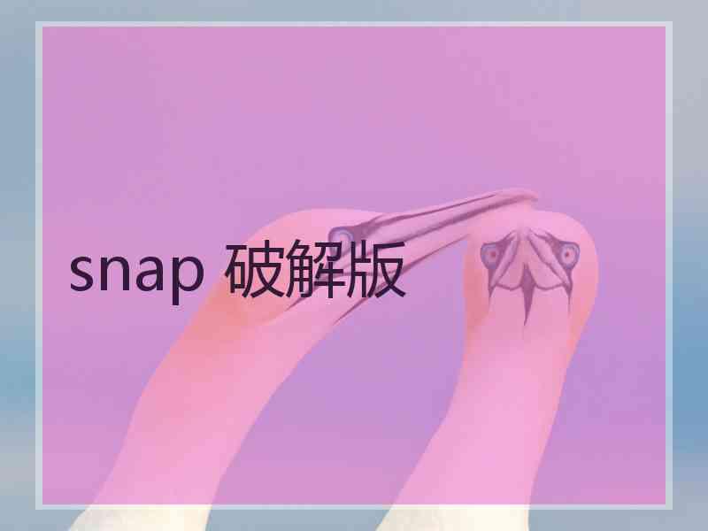 snap 破解版