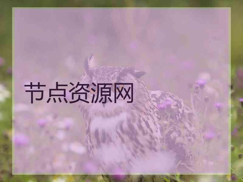 节点资源网
