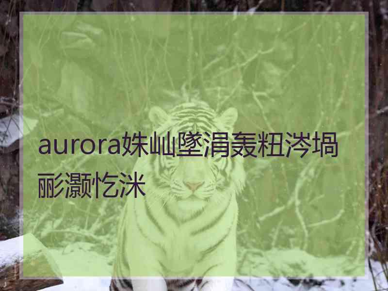 aurora姝屾墜涓轰粈涔堝彨灏忔洣